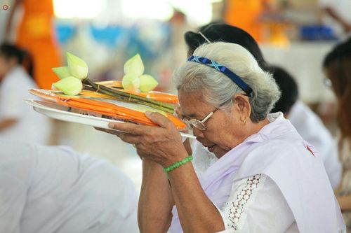ภาพ No.24923:ประมวลภาพงานบุญวันสมาธิโลก ประจำปี 2559 ณ วัดพระธรรมกาย