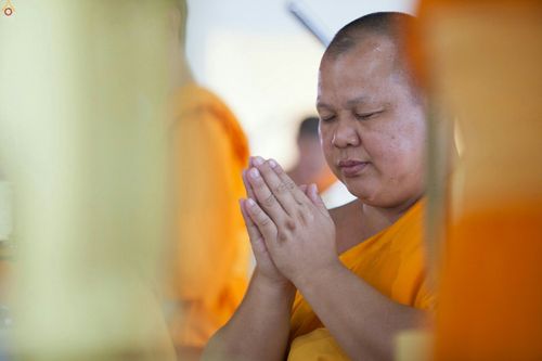ภาพ No.24937:ประมวลภาพงานบุญวันสมาธิโลก ประจำปี 2559 ณ วัดพระธรรมกาย