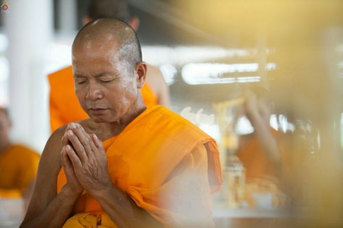 ภาพ No.24950:ประมวลภาพงานบุญวันสมาธิโลก ประจำปี 2559 ณ วัดพระธรรมกาย