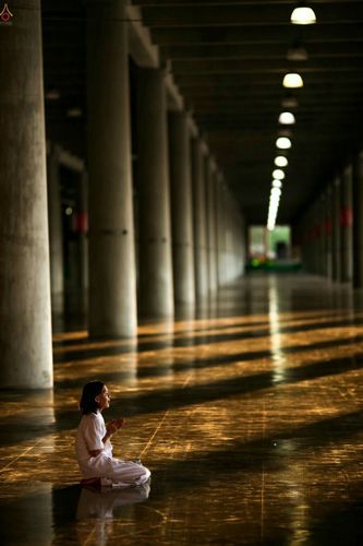 ภาพ No.24962:ประมวลภาพงานบุญวันสมาธิโลก ประจำปี 2559 ณ วัดพระธรรมกาย