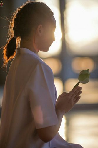 ภาพ No.25101:ประมวลภาพงานบุญวันสมาธิโลก ประจำปี 2559 ณ วัดพระธรรมกาย