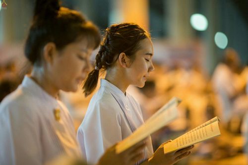 ภาพ No.25135:ประมวลภาพงานบุญวันสมาธิโลก ประจำปี 2559 ณ วัดพระธรรมกาย