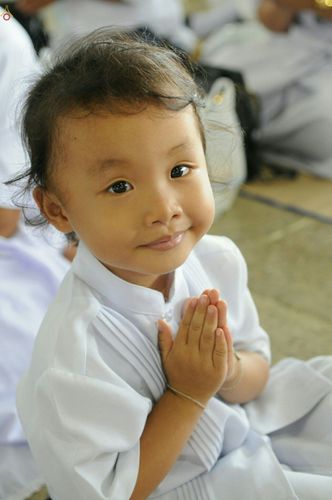 ภาพ No.25231:ประมวลภาพงานบุญวันธรรมชัย 27 สิงหาคม พ.ศ. 2559