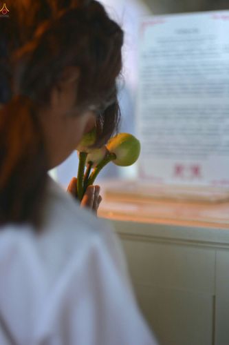 ภาพ No.25218:ประมวลภาพงานบุญวันธรรมชัย 27 สิงหาคม พ.ศ. 2559