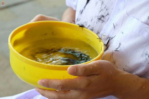 ประมวลภาพพิธีตัดปอยผมรุ่นบูชาธรรม 99 ปี วันครูผู้ค้นพบวิชชาธรรมกาย