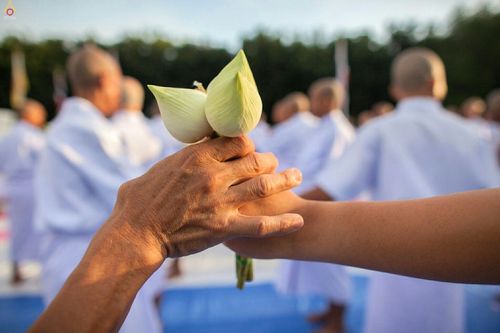 ภาพ No.25556:ประมวลภาพพิธีบรรพชาอุปสมบทรุ่นบูชาธรรม 99 ปี วันครูวิชชาธรรมกาย