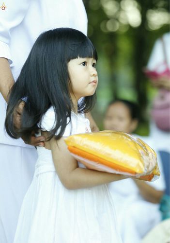 ภาพ No.25619:ประมวลภาพพิธีบรรพชาอุปสมบทรุ่นบูชาธรรม 99 ปี วันครูวิชชาธรรมกาย