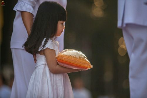 ภาพ No.25636:ประมวลภาพพิธีบรรพชาอุปสมบทรุ่นบูชาธรรม 99 ปี วันครูวิชชาธรรมกาย