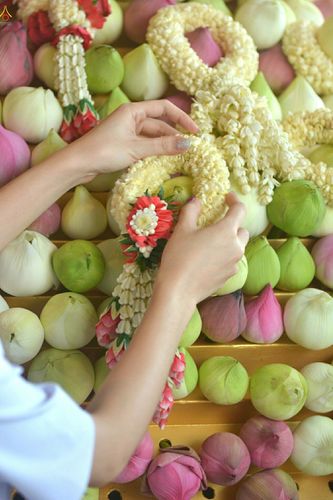 ภาพ No.25657:ประมวลภาพ 99 ปี วันครูผู้ค้นพบวิชชาธรรมกาย