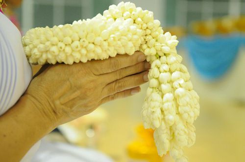 ภาพ No.25702:ประมวลภาพ 99 ปี วันครูผู้ค้นพบวิชชาธรรมกาย