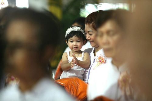 ภาพ No.26019:ประมวลภาพพิธีทอดผ้าป่าธรรมชัยเพื่องานพระพุทธศาสนาทั่วไทย