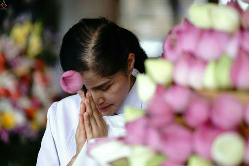 ภาพ No.26126:ประมวลภาพพิธีทอดผ้าป่าธรรมชัยเพื่องานพระพุทธศาสนาทั่วไทย