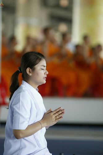 ภาพ No.26160:ประมวลภาพพิธีทอดผ้าป่าธรรมชัยเพื่องานพระพุทธศาสนาทั่วไทย