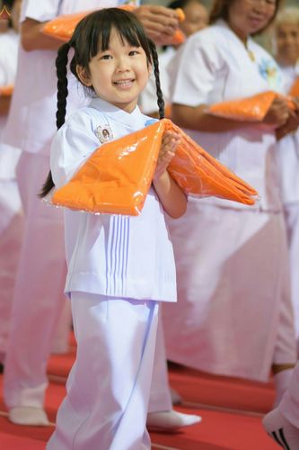 ภาพ No.26324:ประมวลภาพพิธีทอดผ้าป่าธรรมชัยเพื่องานพระพุทธศาสนาทั่วไทย