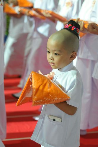 ภาพ No.26335:ประมวลภาพพิธีทอดผ้าป่าธรรมชัยเพื่องานพระพุทธศาสนาทั่วไทย