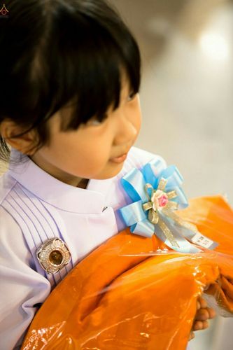 ภาพ No.26429:ประมวลภาพพิธีทอดผ้าป่าธรรมชัยเพื่องานพระพุทธศาสนาทั่วไทย