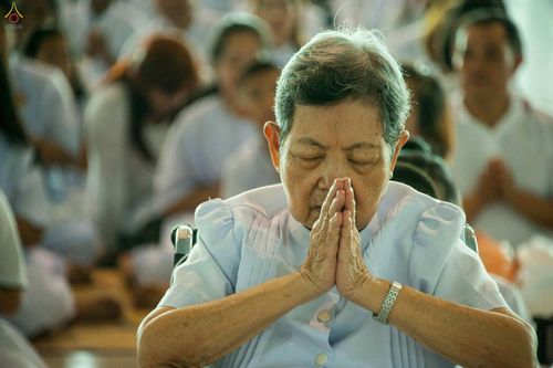 ภาพ No.26531:ประมวลภาพพิธีทอดกฐินวัดพระธรรมกาย ประจำปี พ.ศ. 2559