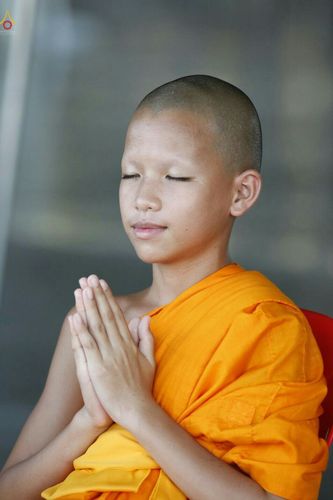 ภาพ No.26767:บุญใหญ่ วันลอยกระทง 2559