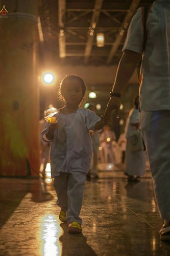 ภาพ No.26813:บุญใหญ่ วันลอยกระทง 2559