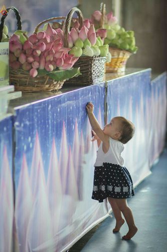 ภาพ No.26847:บุญใหญ่ วันลอยกระทง 2559