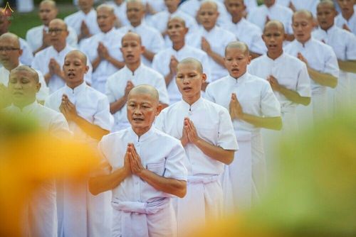 ภาพ No.27119:พิธีบรรพชาอุปสมบทหมู่นาคธรรมทายาทบูชาธรรมพระราชภาวนาจารย์เพื่อน้อมถวายเป็นพระราชกุศล