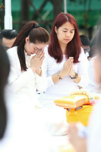 ภาพ No.27197:พิธีบรรพชาอุปสมบทหมู่นาคธรรมทายาทบูชาธรรมพระราชภาวนาจารย์เพื่อน้อมถวายเป็นพระราชกุศล