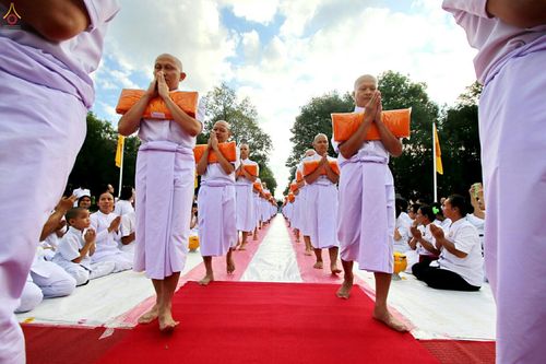 ภาพ No.27236:พิธีบรรพชาอุปสมบทหมู่นาคธรรมทายาทบูชาธรรมพระราชภาวนาจารย์เพื่อน้อมถวายเป็นพระราชกุศล