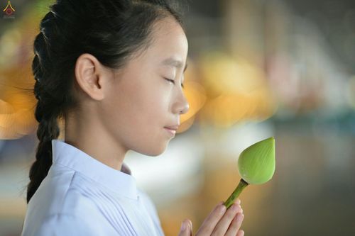 ภาพ No.27378:ประมวลภาพงานบุญวันอาทิตย์ต้นเดือน 4 ธันวาคม พ.ศ. 2559