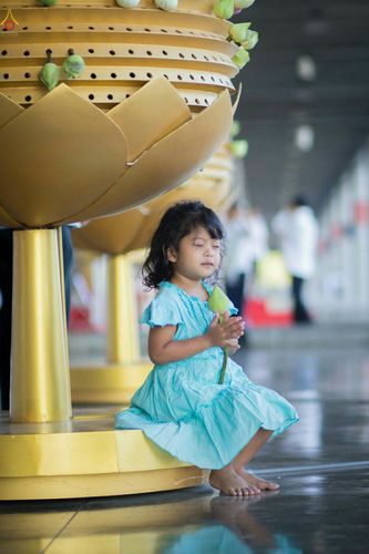 ภาพ No.27884:พิธีปิดแผ่นทองระฆังธรรม เข้าสู่ยุคชาวศิวิไลซ์และพิธีสวดธัมมจักกัปปวัตนสูตร