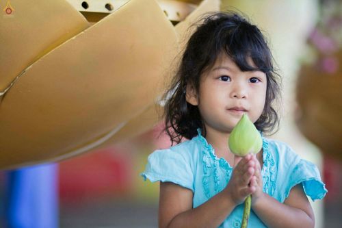 ภาพ No.27910:พิธีปิดแผ่นทองระฆังธรรม เข้าสู่ยุคชาวศิวิไลซ์และพิธีสวดธัมมจักกัปปวัตนสูตร