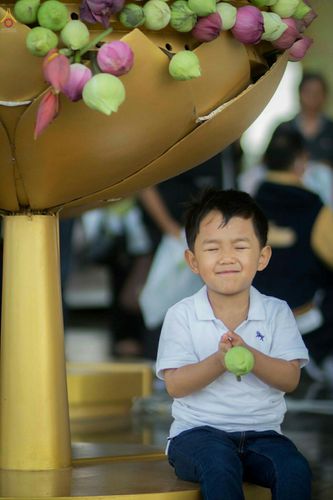 ภาพ No.27991:พิธีปิดแผ่นทองระฆังธรรม เข้าสู่ยุคชาวศิวิไลซ์และพิธีสวดธัมมจักกัปปวัตนสูตร