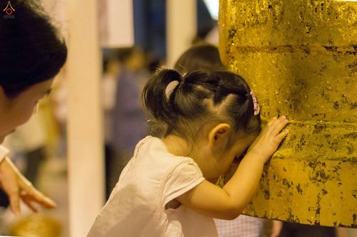 ภาพ No.28082:พิธีปิดแผ่นทองระฆังธรรม เข้าสู่ยุคชาวศิวิไลซ์และพิธีสวดธัมมจักกัปปวัตนสูตร