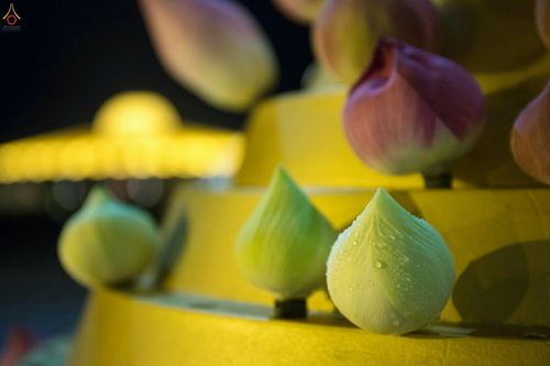 ภาพ No.28101:พิธีปิดแผ่นทองระฆังธรรม เข้าสู่ยุคชาวศิวิไลซ์ และพิธีสวดธัมมจักกัปปวัตนสูตร มุ่งสู่ความสำเร็จ ๑๒,๓๔๕,๖๗๘ จบ