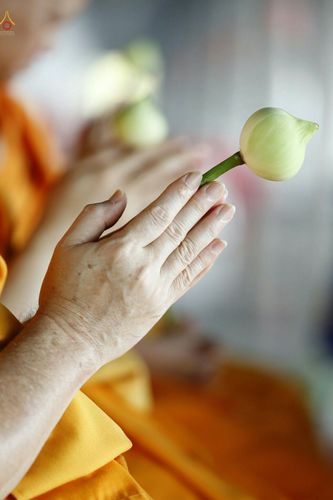 ภาพ No.28134:พิธีปิดแผ่นทองระฆังธรรม เข้าสู่ยุคชาวศิวิไลซ์ และพิธีสวดธัมมจักกัปปวัตนสูตร มุ่งสู่ความสำเร็จ ๑๒,๓๔๕,๖๗๘ จบ