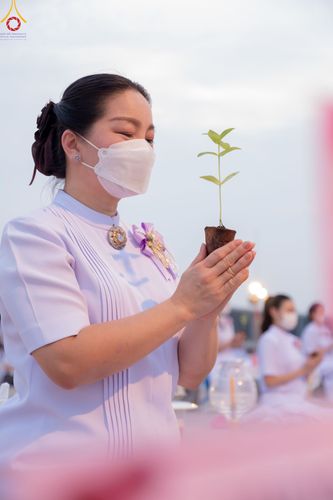 ภาพ No.90184:พิธีปลูกทรัพย์บานชื่น  เนื่องใน 139 ปี วันคล้ายวันเกิดด้วยรูปกายเนื้อ พระมงคลเทพมุนี (สด จนฺทสโร) พระผู้ปราบมาร วันอังคารที่ 10 ตุลาคม พ.ศ. 2566 ณ วัดพระธรรมกาย จ.ปทุมธานี