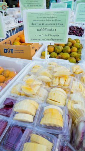 ภาพ No.72160:พิธีถวายภัตตาหารเป็นสังฆทาน แด่คณะพระธรรมยาตราฯ ในโครงการธรรมยาตรากตัญญูบูชา มหาปูชนียาจารย์ พระมงคลเทพมุนี(สด จนฺทสโร) พระผู้ปราบมาร อนุสรณ์สถาน 7 แห่ง ปีที่ 11 วันที่ 18 มกราคม พ.ศ. 2566