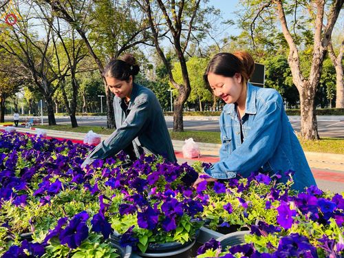 ภาพ No.123527:V.25 ชิตังเม การเตรียมงาน เก็บงาน การรับบุญของเจ้าหน้าที่หน่วยงานต่างๆ เพื่อโครงการธรรมยาตรา กตัญญูบูชา มหาปูชนียาจารย์ พระมงคลเทพมุนี (สด จนฺทสโร) พระผู้ปราบมาร อนุสรณ์สถาน 7 แห่ง ปีที่ 12 ระหว่างวันที่ 2 - 31 มกราคม พ.ศ.2567