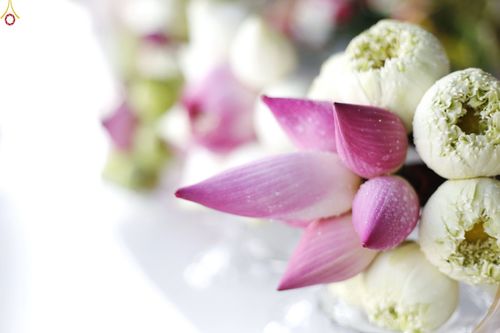 ภาพ No.27752:พิธีปิดแผ่นทองระฆังธรรม เข้าสู่ยุคชาวศิวิไลซ์และพิธีสวดธัมมจักกัปปวัตนสูตร