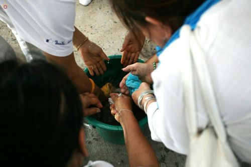 ภาพ No.24073:กิจกรรมธุดงค์ธรรมชัย วันที่ 27 - 28 พฤษภาคม พ.ศ. 2559 ณ วัดพระธรรมกาย