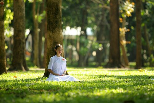 ภาพ No.23351:อุบาสิกา สตรีผู้นั่งใกล้พระรัตนตรัย