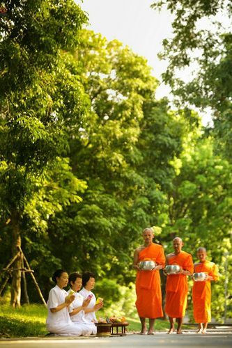 ภาพ No.23346:อุบาสิกา สตรีผู้นั่งใกล้พระรัตนตรัย