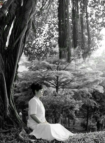 ภาพ No.23350:อุบาสิกา สตรีผู้นั่งใกล้พระรัตนตรัย