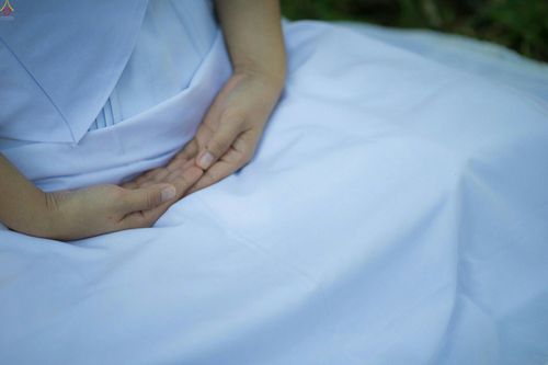 ภาพ No.23361:อุบาสิกา สตรีผู้นั่งใกล้พระรัตนตรัย