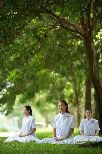 ภาพ No.23358:อุบาสิกา สตรีผู้นั่งใกล้พระรัตนตรัย