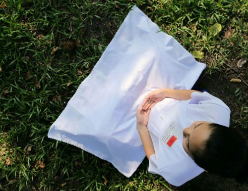 ภาพ No.23377:อุบาสิกา สตรีผู้นั่งใกล้พระรัตนตรัย