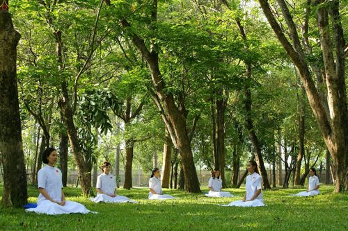 ภาพ No.23379:อุบาสิกา สตรีผู้นั่งใกล้พระรัตนตรัย