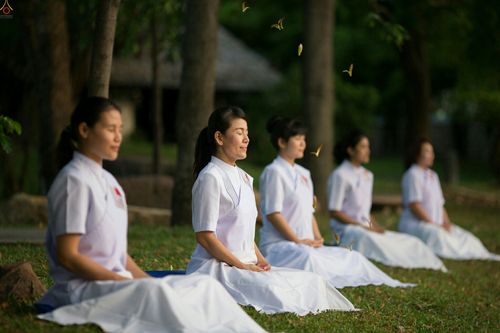 ภาพ No.23384:อุบาสิกา สตรีผู้นั่งใกล้พระรัตนตรัย