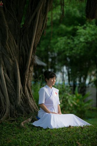 ภาพ No.23433:อุบาสิกา สตรีผู้นั่งใกล้พระรัตนตรัย