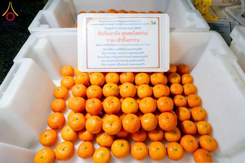 ภาพ No.299231:วันที่ 21 มกราคม พ.ศ. 2569 พิธีถวายภัตตาหารเป็นสังฆทาน แด่พระธรรมยาตรา ณ อนุสรณ์สถานบางปลา วัดบางปลา อำเภอบางเลน จังหวัดนครปฐม ในโครงการธรรมยาตรา กตัญญูบูชา มหาปูชนียาจารย์ พระมงคลเทพมุนี(สด จนฺทสโร) พระผู้ปราบมาร อนุสรณ์สถาน 7 แห่ง ปีที่ 14