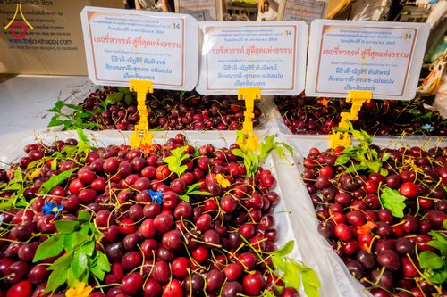 ภาพ No.294859:วันที่ 15 มกราคม พ.ศ. 2569 พิธีถวายภัตตาหารเป็นสังฆทาน แด่พระธรรมยาตรา ณ วัดโบสถ์บน ต.บางคูเวียง จ.นนทบุรี อนุสรณ์สถานลำดับที่ 4 สถานที่เกิดด้วยกายธรรม ในโครงการธรรมยาตรา กตัญญูบูชา มหาปูชนียาจารย์ พระมงคลเทพมุนี(สด จนฺทสโร) พระผู้ปราบมาร อนุสรณ์สถาน 7 แ